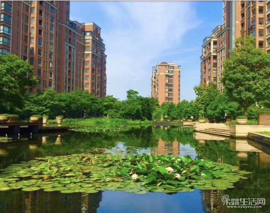 地 址:四明西路 交通状况:204 小区信息 小区名称:伊顿国际 二 手 房